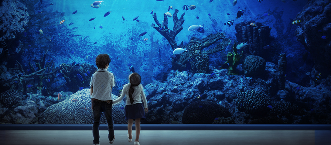 [Acrylates] Showing the beauty of aquarium, crystal-clear Acrylate LG Chem Petrochemicals Sole manufacturer of high-quality acrylic acid in Korea