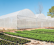 Agriculture LLDPE Linear Low Density Poly Ethylene LG Chem Petrochemicals Linear Low Density Poly Ethylene