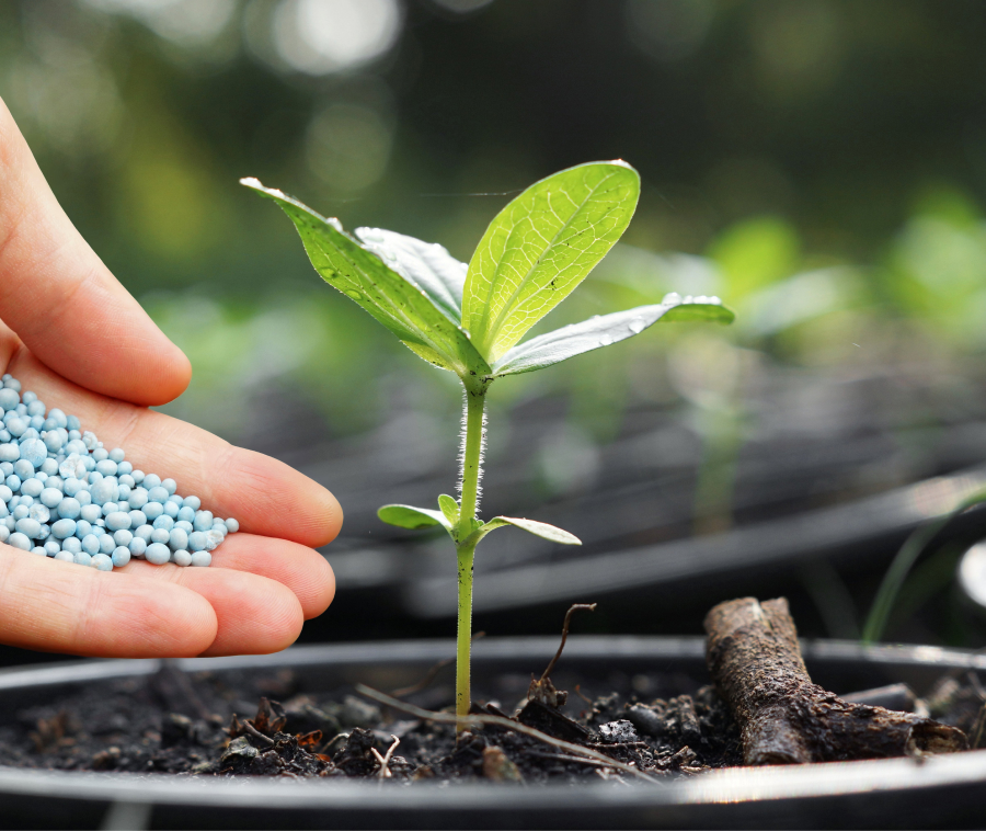 Controlled Release Fertilizer COMPOSTFUL™ LG Chem Petrochemicals A Promising Solution for Sustainability