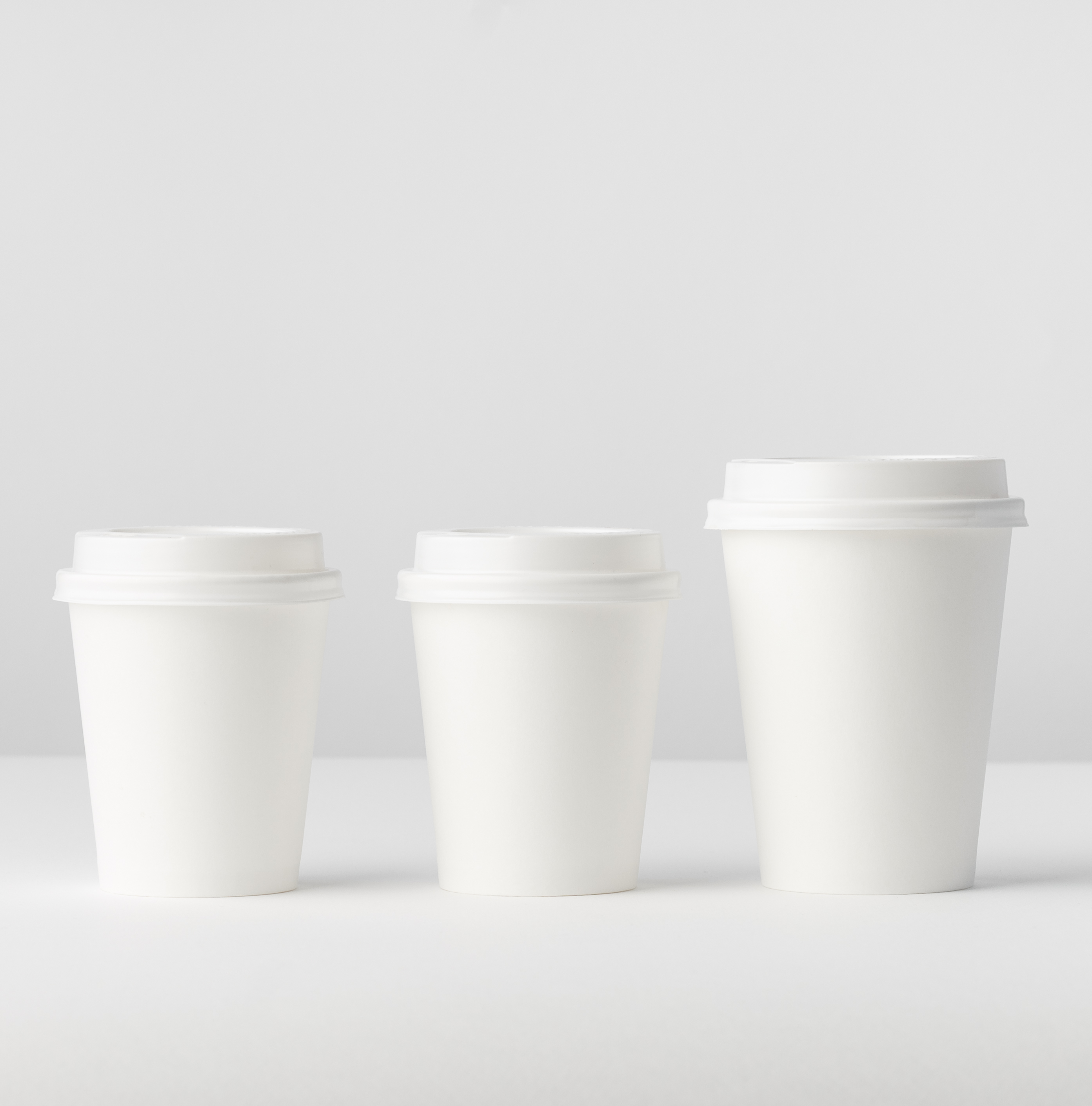 Paper Coating COMPOSTFUL™ LG Chem Petrochemicals A Promising Solution for Sustainability