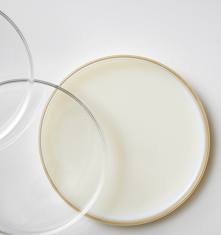 NBR LATEX Nitrile Butadiene Rubber Latex LG Chem 石油化學 拉伸率与耐油性卓越的合成乳胶