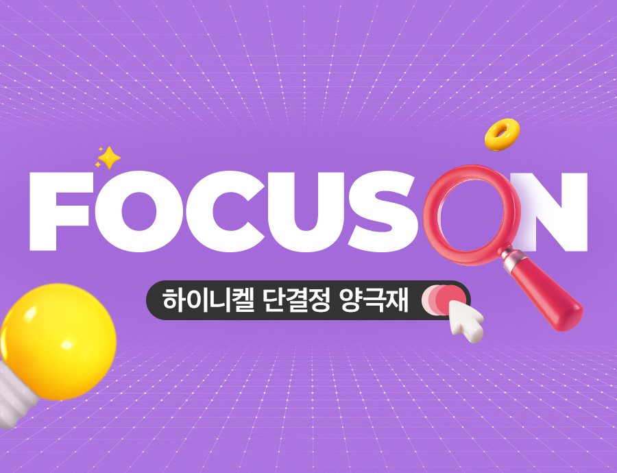 하이니켈 단결정 양극재