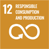 12 responsible consumption and prdoduction